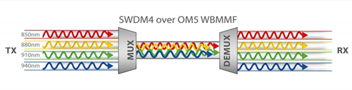 SWDM4   OM5 -